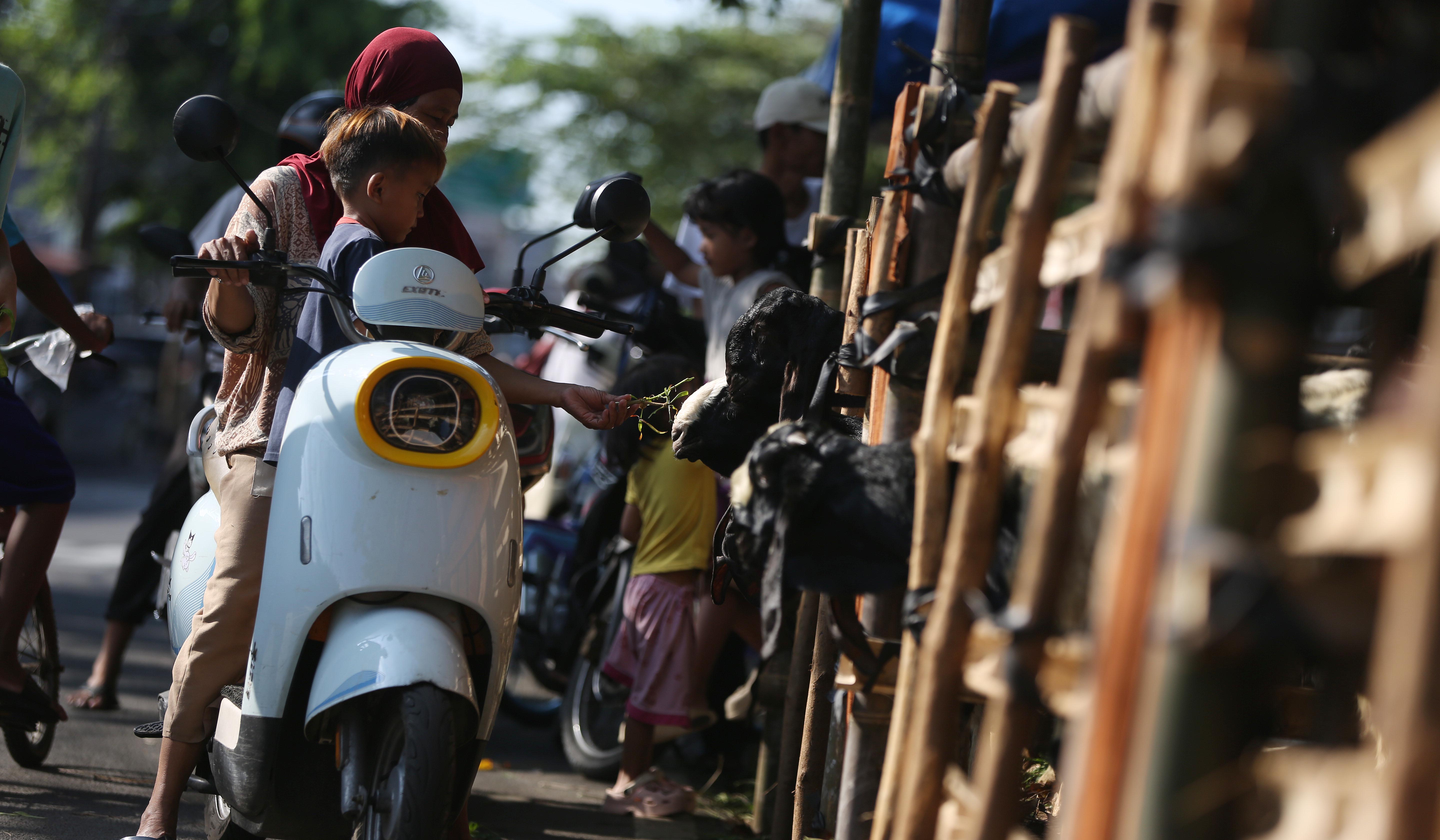 Penjualan hewan kurban diatas trotoar di Jakarta. (Agus Priatna/SinPo.id)
