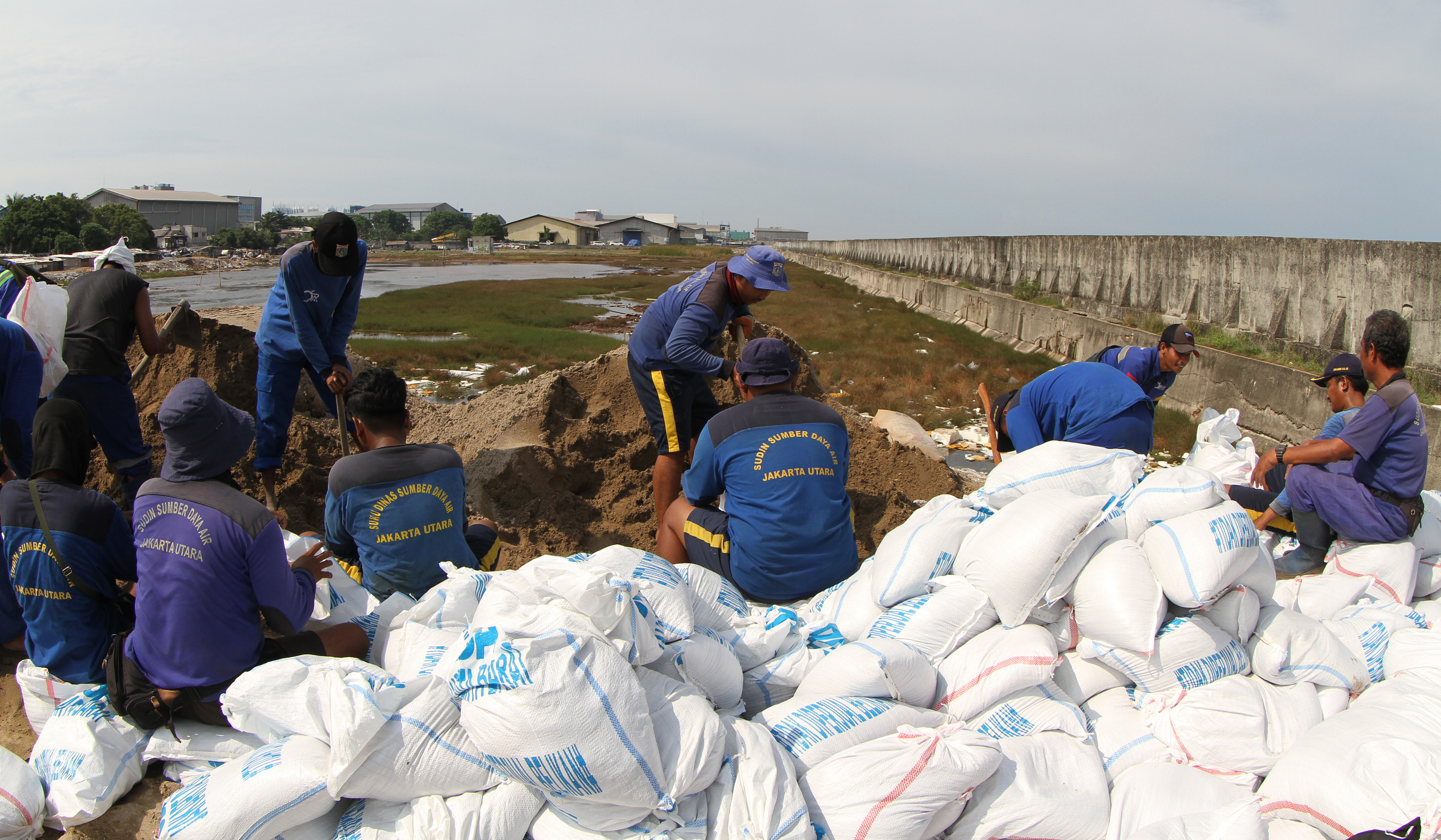 Perbaikan tanggul muara baru. (Agus Priatna/SinPo.id)