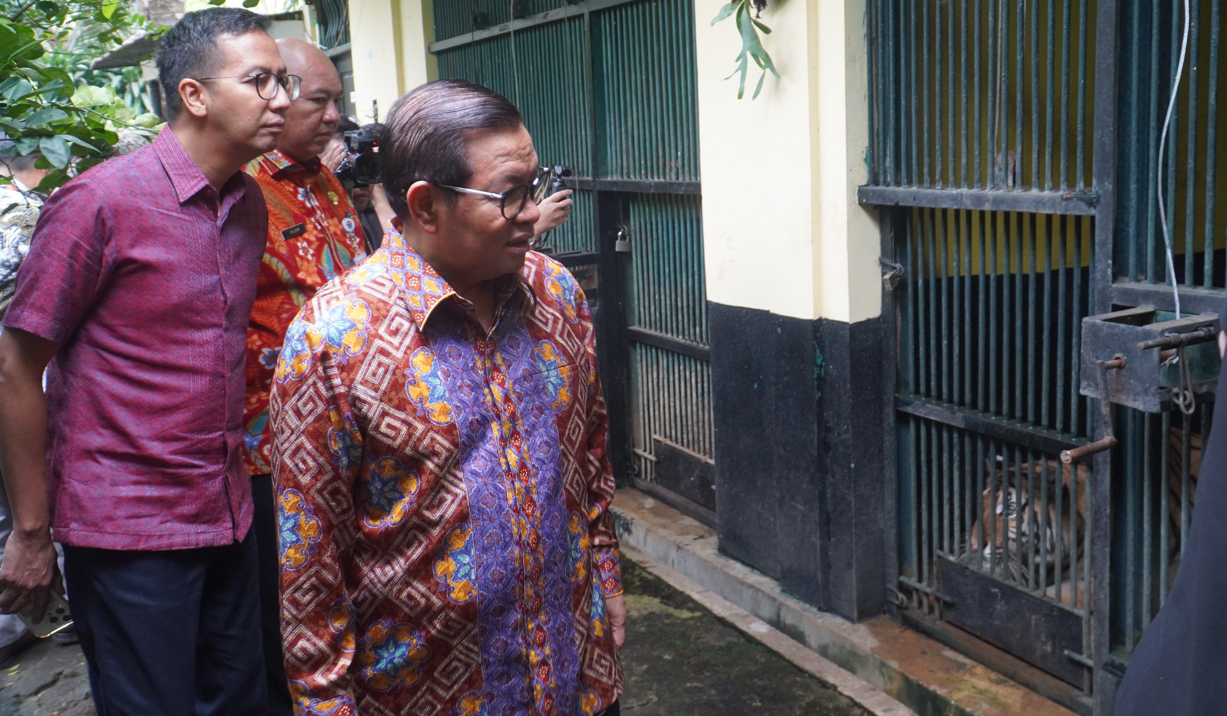 Gubernur DKI Jakarta, Pramono Anung, tinjau Taman Margasatwa Ragunan. (Agus Priatna/SinPo.id)