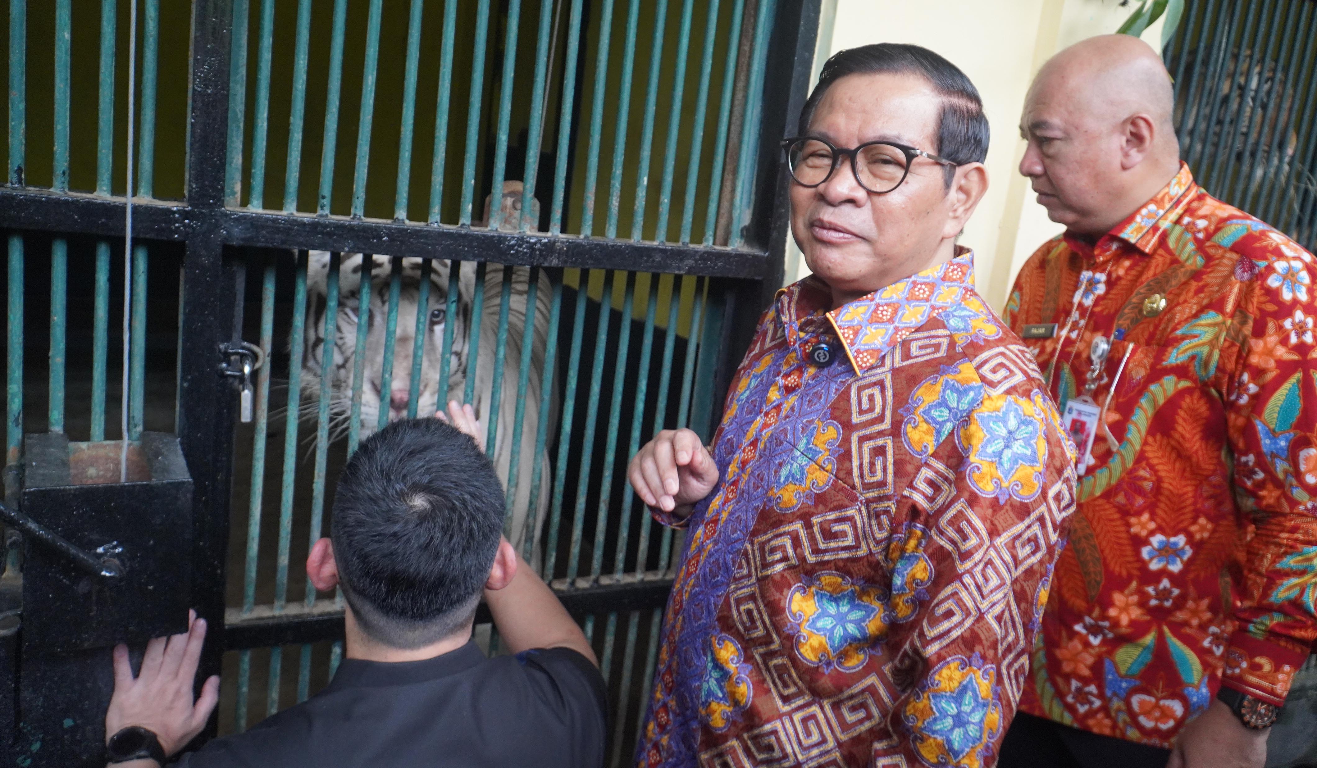 Gubernur DKI Jakarta, Pramono Anung, tinjau Taman Margasatwa Ragunan. (Agus Priatna/SinPo.id)