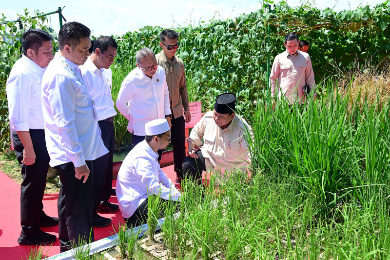 Presiden Prabowo Subianto meluncurkan Gerina (Gerakan Indonesia Menanam) di Banyuasin, Sumatera Selatan (Ashar/Foto:Muchlis Jr Biro Setpres/SinPo.id)