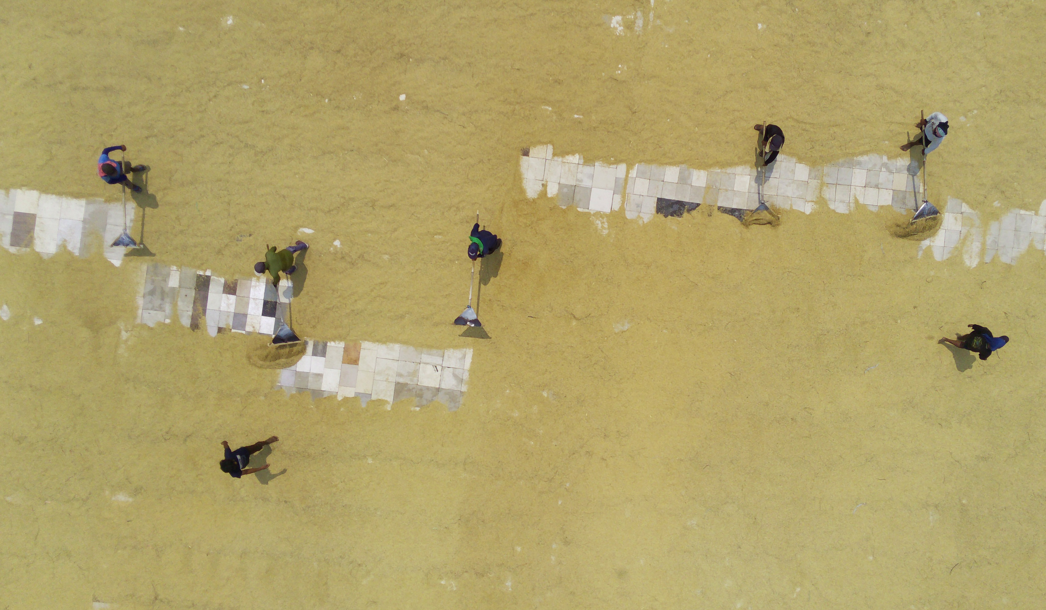 Penggilingan padi di Bekasi, Jawa Barat. (Agus Priatna/SinPo.id)