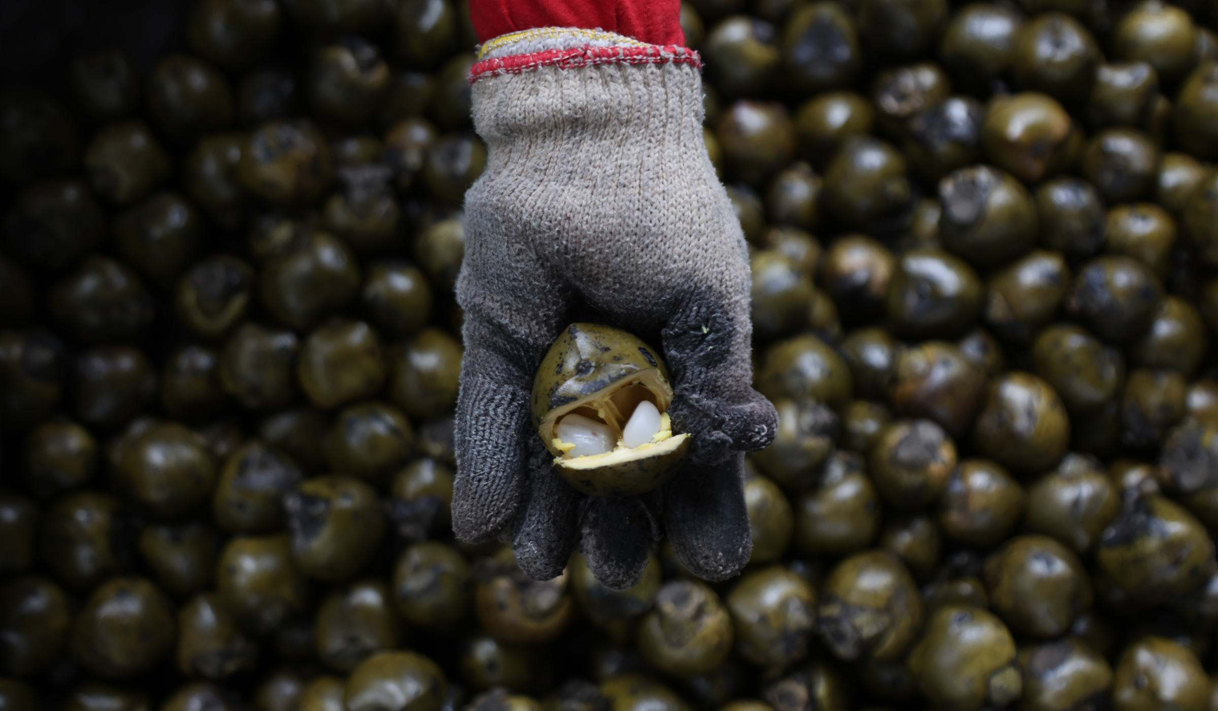 Perajin kolang kaling Tasikmalaya. (Agus Priatna/SinPo.id)