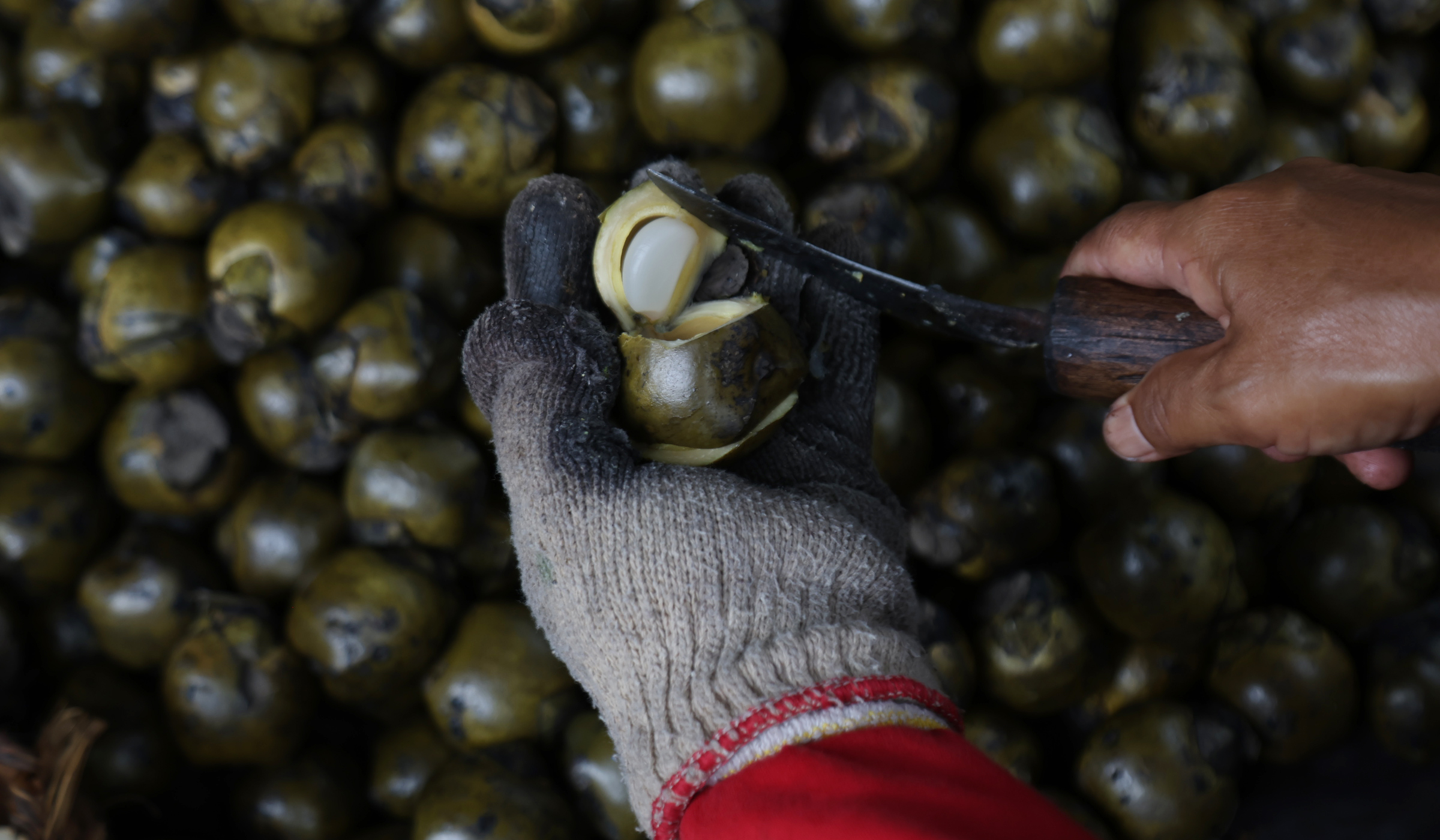 Perajin kolang kaling Tasikmalaya. (Agus Priatna/SinPo.id)