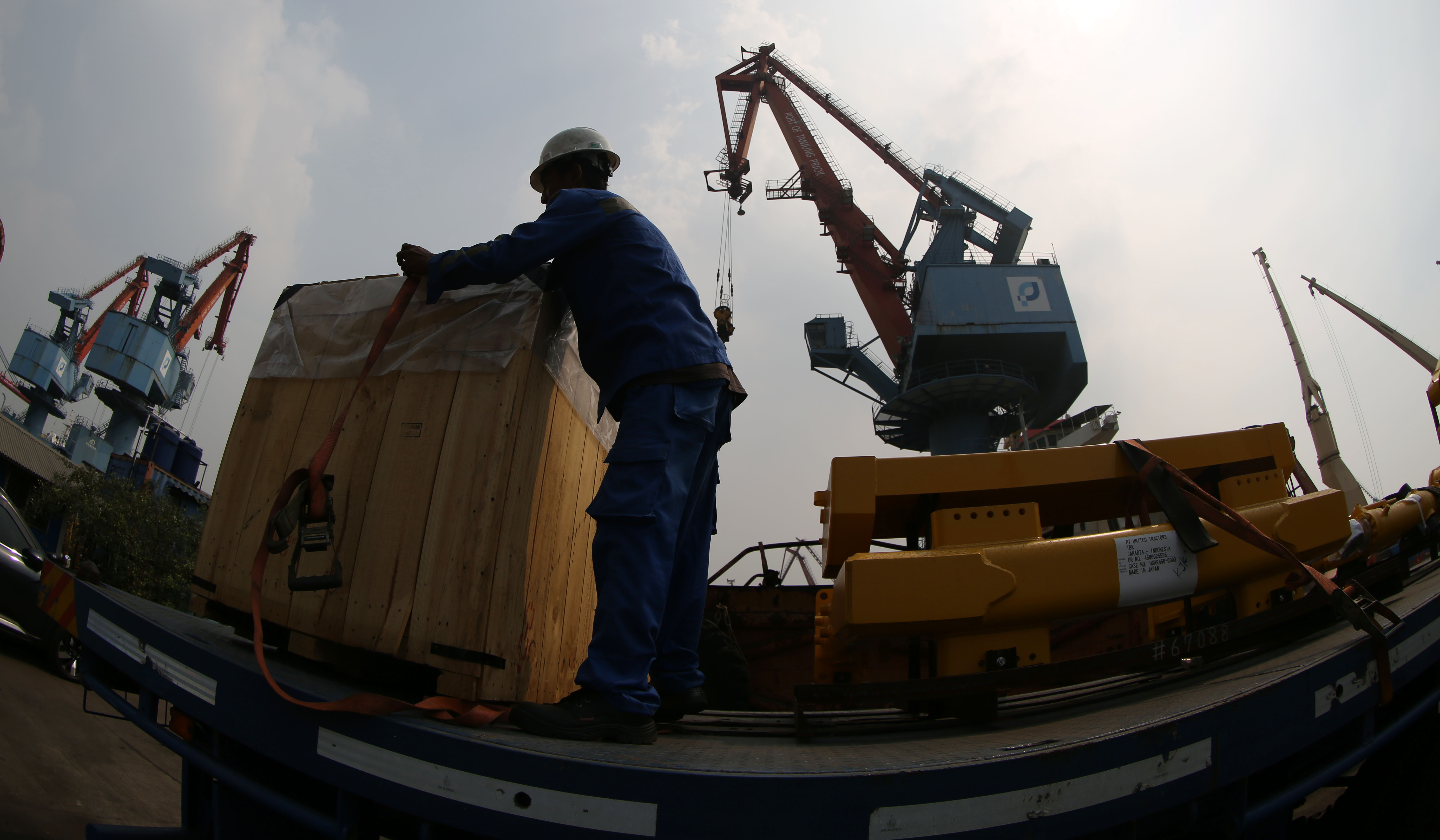 Aktivitas bongkar muat di Dermaga PTP Nonpetikemas Cabang Tanjung Priok, Jakarta. (Agus Priatna/SinPo.id)