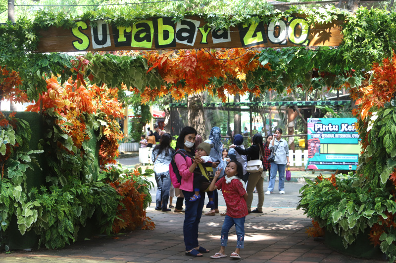 Ribuan pengunjung padati kebun binatang Surabaya di awal tahun 2025 (Ashar/SinPo.id)