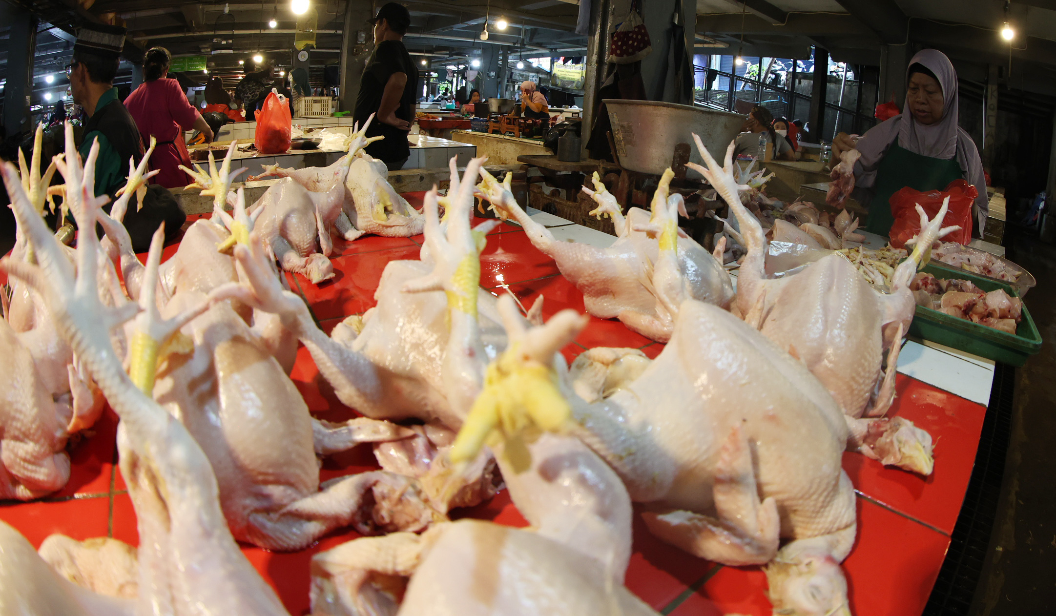 Pedagang ayam potong di Pasar Ciputat. (Agus Priatna/SinPo.id)
