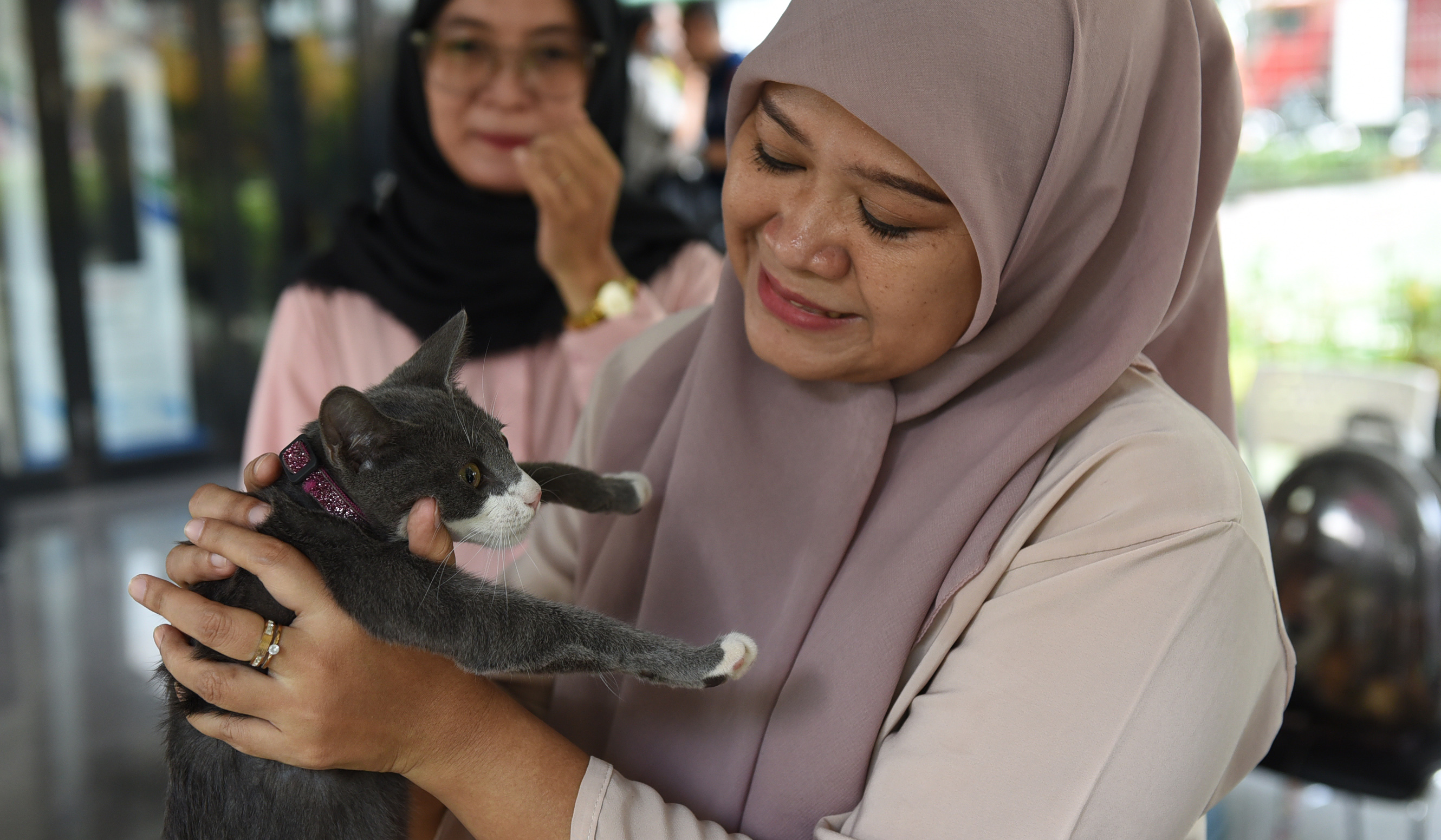 Pemberian vaksin rabies. (Agus Priatna/SinPo.id)
