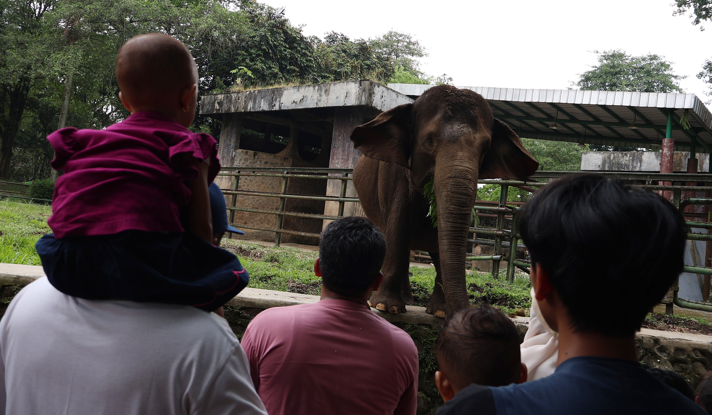 Suasana Taman Margasatwa Ragunan di Jakarta. (Agus Priatna/SinPo.id)