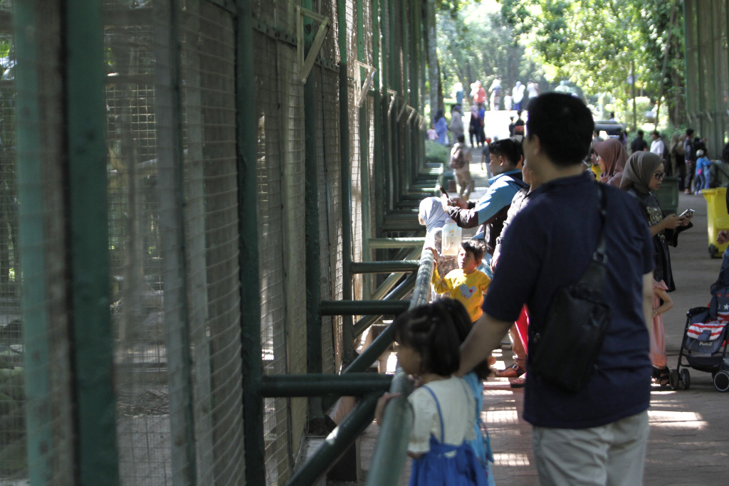 Taman Margasatwa Ragunan dipadati pengunjung saat cuti bersama Hari Raya Idul Adha 1444 H dan Libur Sekolah (Ashar/SinPo.id)