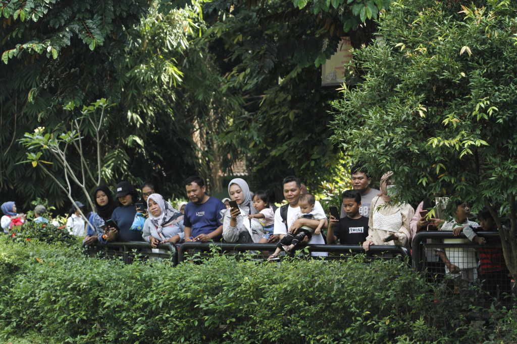 Taman Margasatwa Ragunan dipadati pengunjung saat cuti bersama Hari Raya Idul Adha 1444 H dan Libur Sekolah (Ashar/SinPo.id)