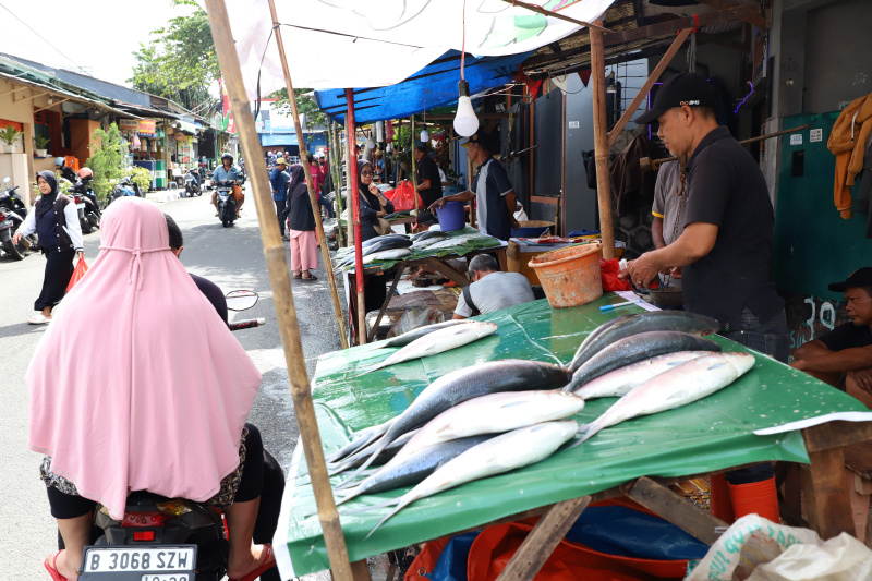 Tradisi Rawa Belong banyak pedagang dadakan menjual Bandeng Jumbo menjelang perayaan Imlek (Ashar/SinPo.id)