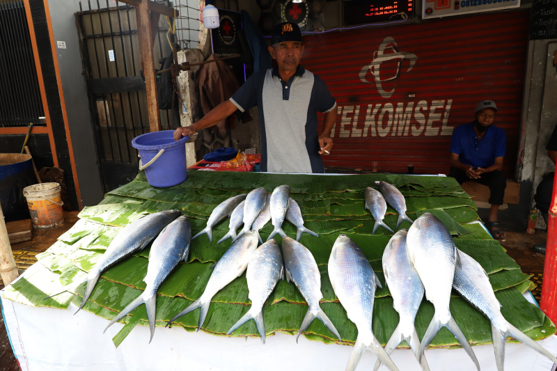 Tradisi Rawa Belong banyak pedagang dadakan menjual Bandeng Jumbo menjelang perayaan Imlek (Ashar/SinPo.id)