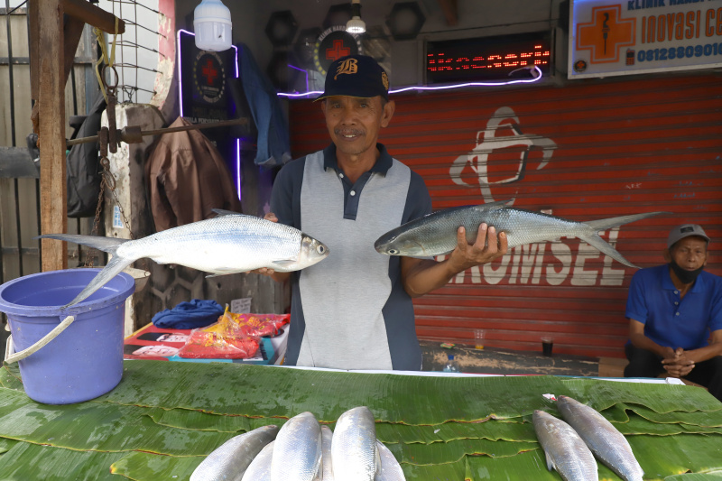 Tradisi Rawa Belong banyak pedagang dadakan menjual Bandeng Jumbo menjelang perayaan Imlek (Ashar/SinPo.id)