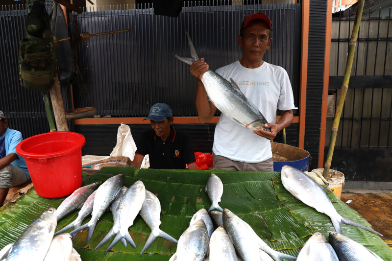 Tradisi Rawa Belong banyak pedagang dadakan menjual Bandeng Jumbo menjelang perayaan Imlek (Ashar/SinPo.id)