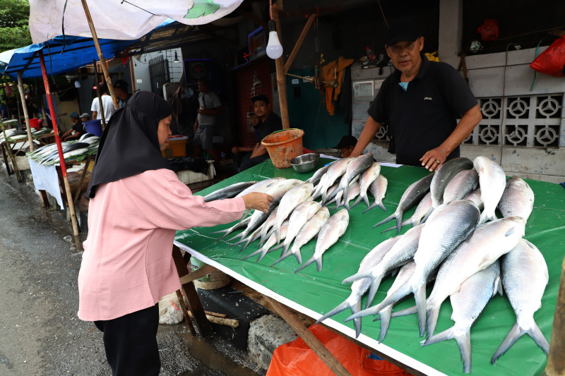 Tradisi Rawa Belong banyak pedagang dadakan menjual Bandeng Jumbo menjelang perayaan Imlek (Ashar/SinPo.id)