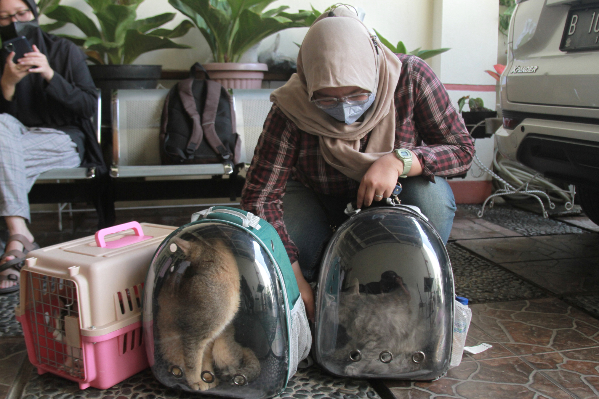 Vaksinasi rabies gratis Kelurahan Sukabumi Utara (Ashar/SinPo.id)