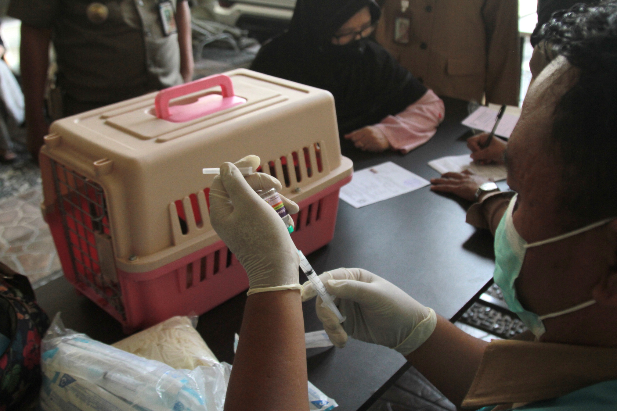 Vaksinasi rabies gratis Kelurahan Sukabumi Utara (Ashar/SinPo.id)