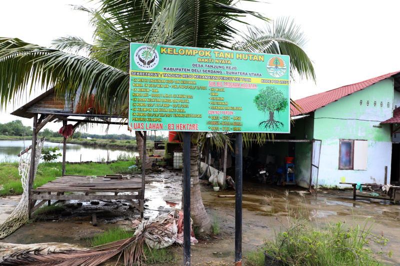 Warga Desa Tanjung Rejo mengandalkan mangrove sebagai sumber perekonomian diolah menjadi Keripik mangrove dan Batik Mangrove (Ashar/SinPo.id)