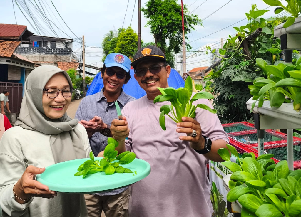 Warga Menteng Jaya memanen sayuran pakcoy lewat  hidroponik (Ashar/SinPo.id)