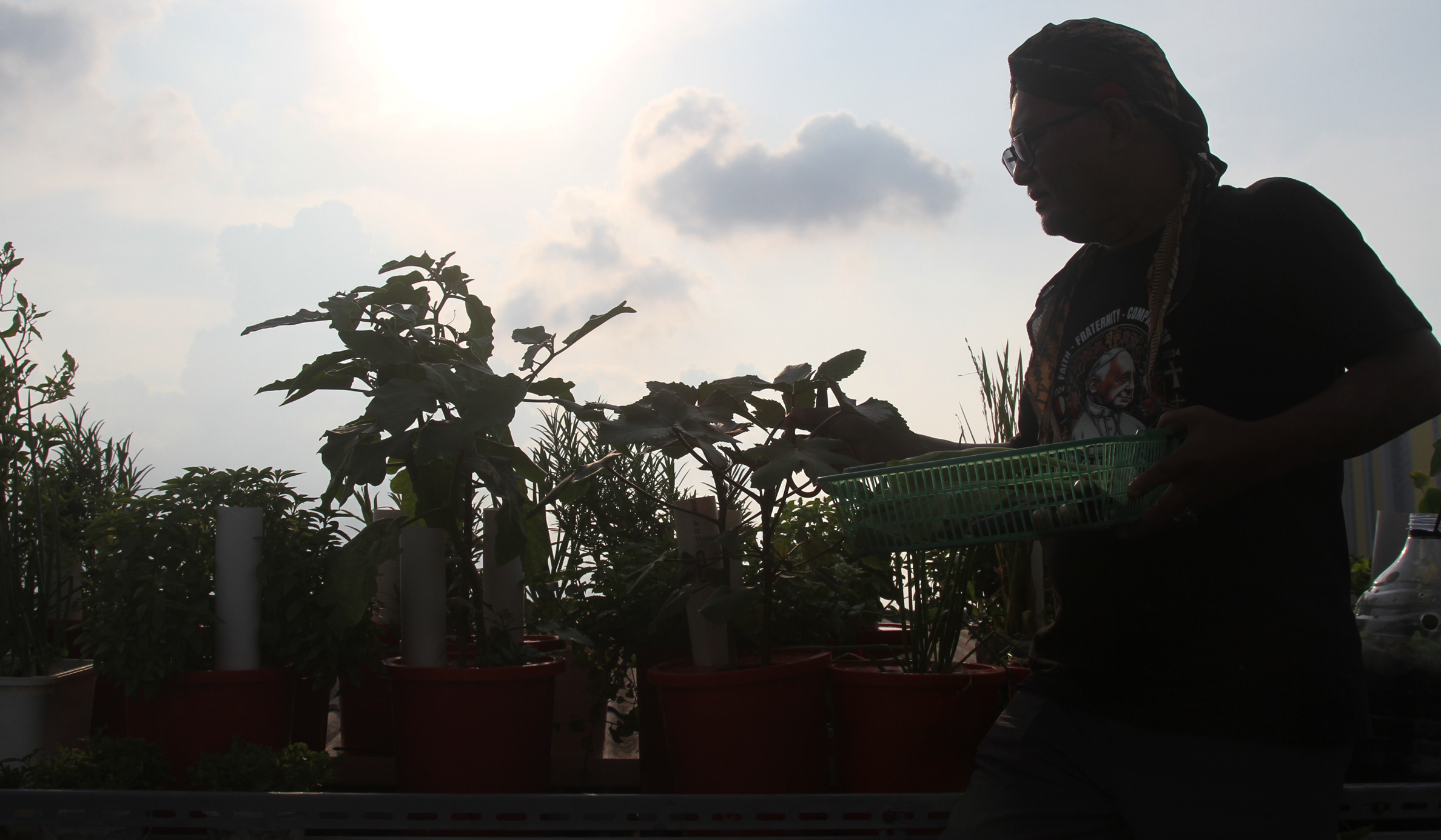 Urban faming di Sunter Jaya. (Agus Priatna/SinPo.id)