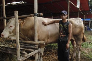 Panitia Kurban Dilarang Buang Limbah Hewan Ke Saluran Air