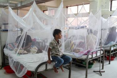 Sekitar 1.017 orang di Bangladesh dilaporkan meninggal karena demam berdarah dalam sembilan bulan pertama tahun 2023, dan hampir 209 ribu orang telah terinfeksi. (SinPo.id/Alamy)